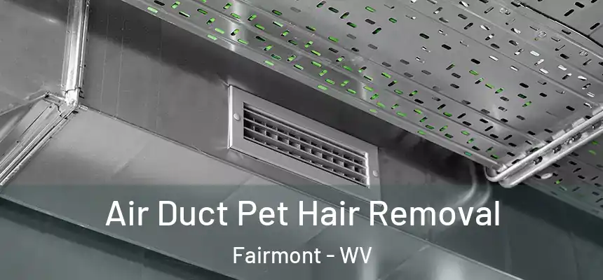 Air Duct Pet Hair Removal Fairmont - WV