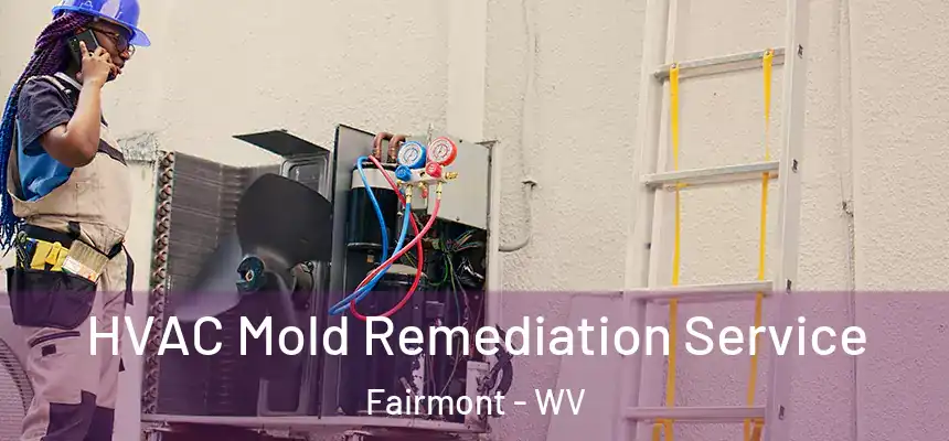 HVAC Mold Remediation Service Fairmont - WV