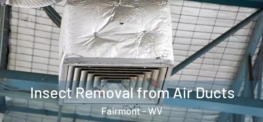  Insect Removal from Air Ducts Fairmont - WV