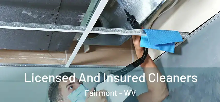 Licensed And Insured Cleaners Fairmont - WV
