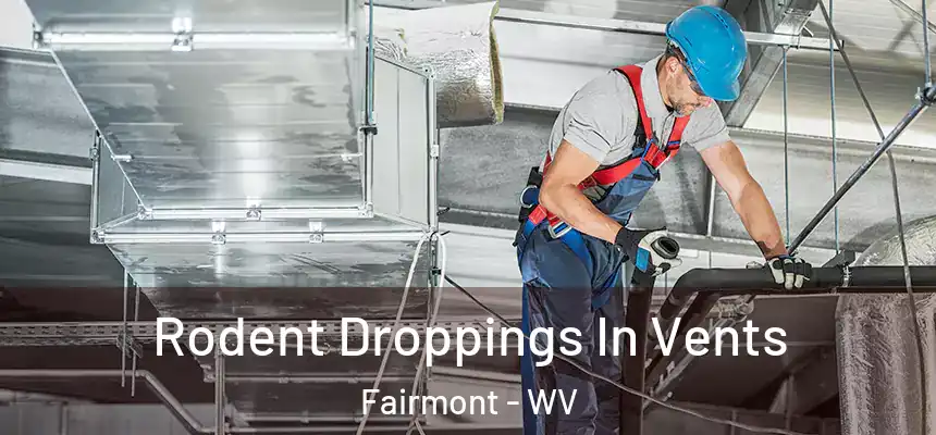  Rodent Droppings In Vents Fairmont - WV