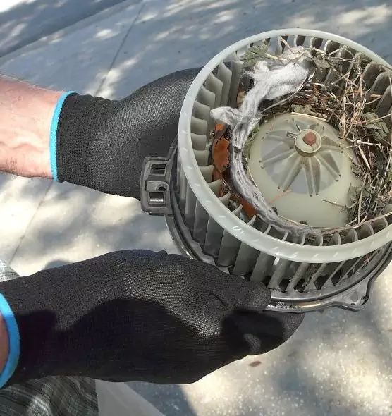 About Air Duct Rat Removal in Fairmont, WV