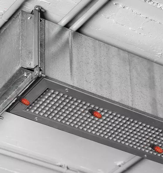 Affordable Insect Removal from Air Ducts in Fairmont, WV